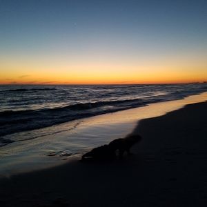 Meet your Posher, Robin